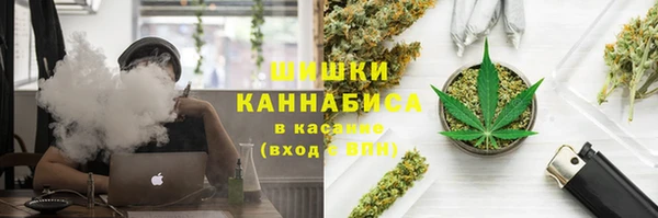 гидра Арсеньев