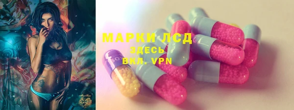 гидра Арсеньев