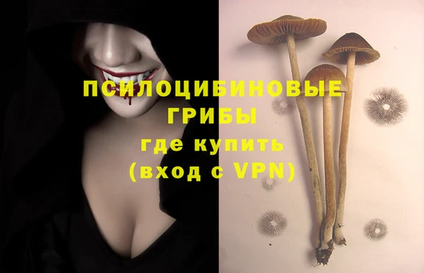 гидра Арсеньев