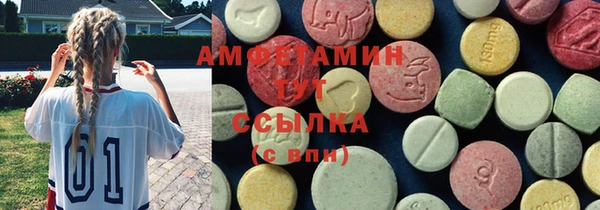 гидра Арсеньев