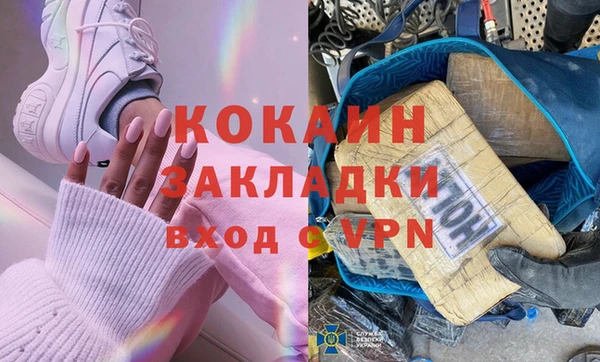гидра Арсеньев