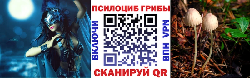 Галлюциногенные грибы Cubensis  наркота  Сатка 